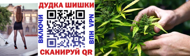 Каннабис ГИДРОПОН  Купить закладки  Новый Оскол 